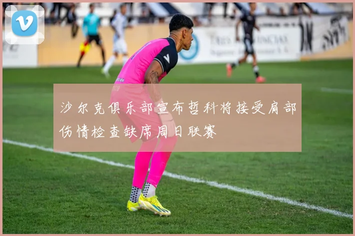 沙尔克俱乐部宣布哲科将接受肩部伤情检查缺席周日联赛